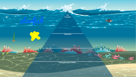 Ocean Ecological Pyramid