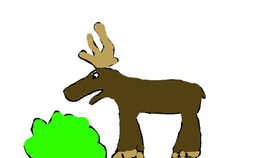 moose