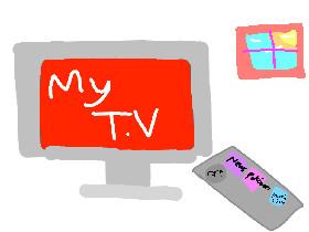 My T.V