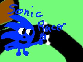 Sonic Racer (New Map)