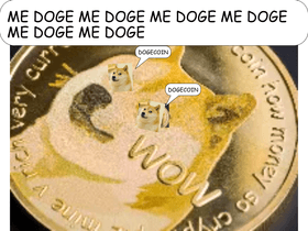 doge