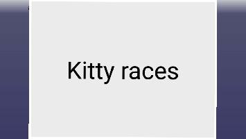 Kitty Races 1