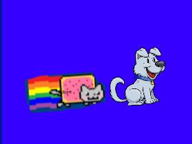 NYAN CAT BABIES!!! 1