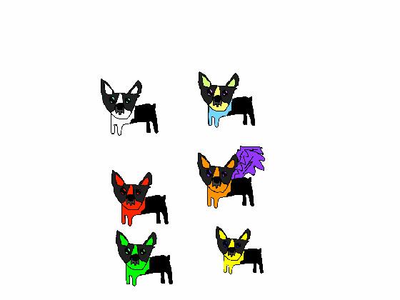 boston terrier ocs for adoption