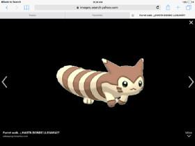 FURRET GIF