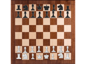 2-PLAYER Chess (upgraded)