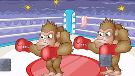 Boxing Match