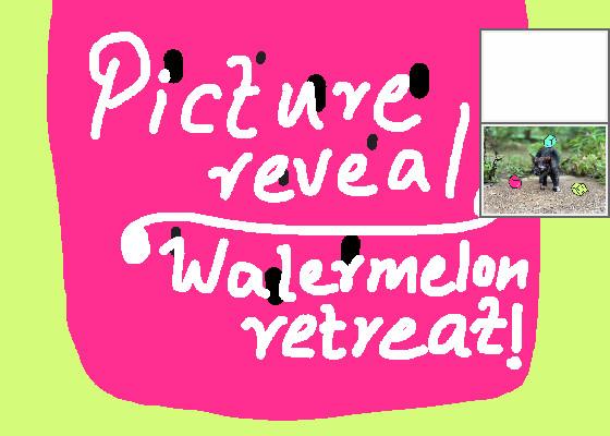 picture reveal -watermelon retreat