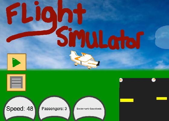 plane simulator 1