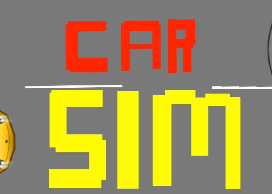 Car Sim RELEASED 1 1