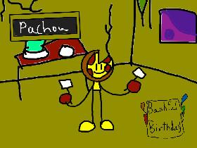 pachou-bashful birthday