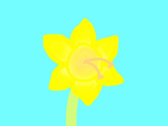 How to draw a daffodil