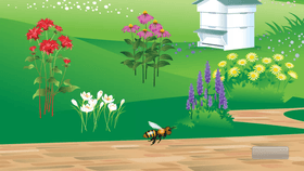 Bee Game