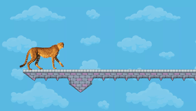 Cheetah run