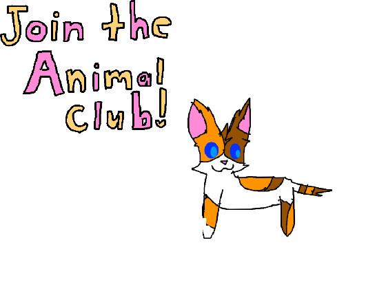 My Animal Club! 1