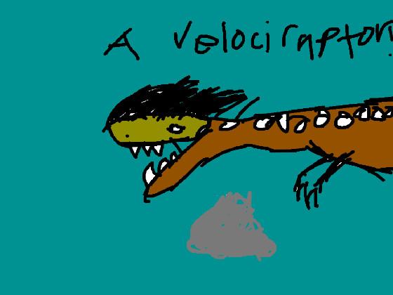 Velociraptor