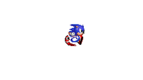 SEGA sonic the hedgehog™