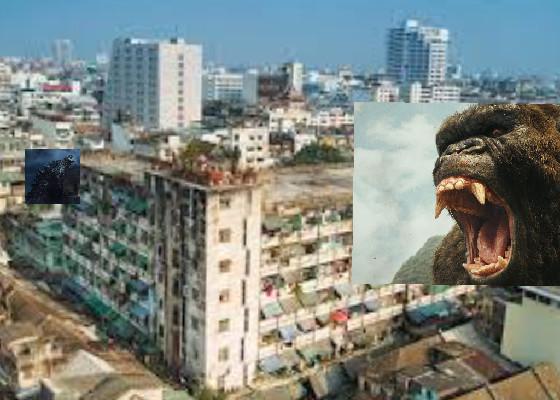 kong 2000 vs godzilla 2014