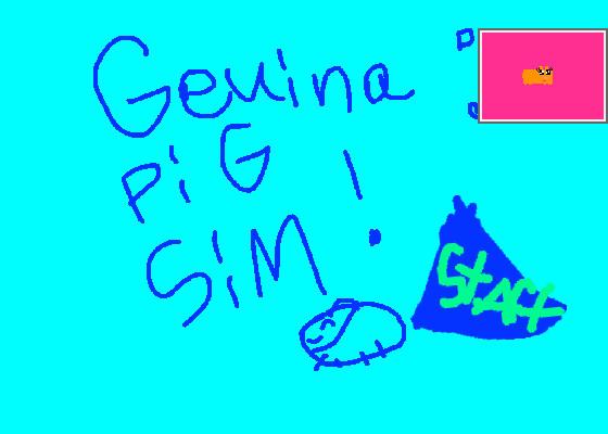 geuina pig sim