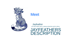 meet jayfeather from warrior cats