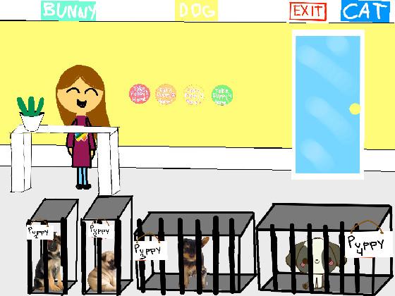 The pet shop! 1