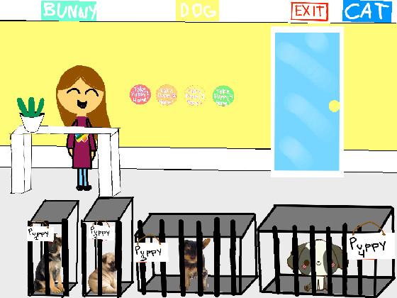 The pet shop! 1