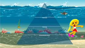 Ocean Ecological Pyramid