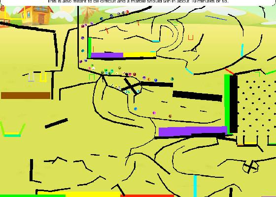 Long Marble Race Course 1