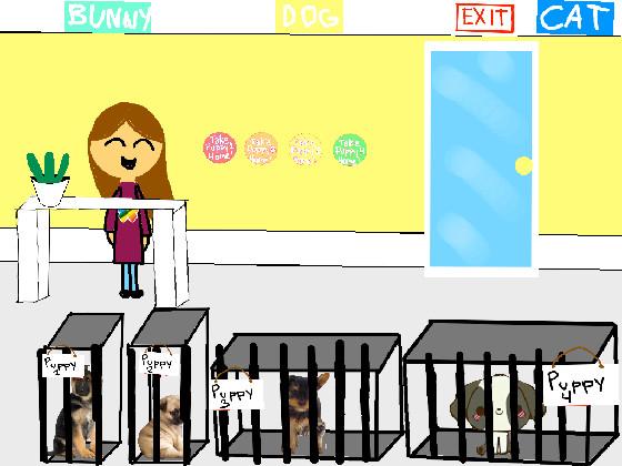 The pet shop! 1