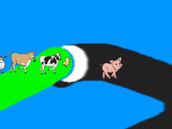 pig racing 1