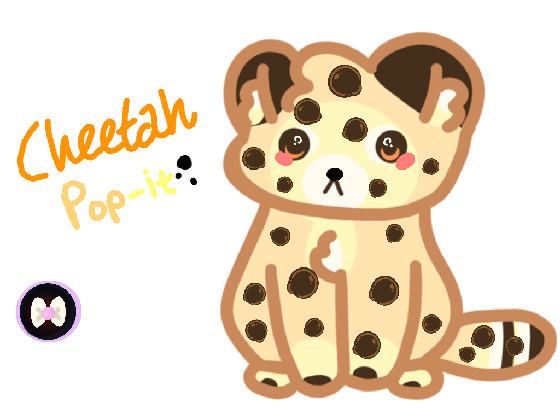 CheetahPop-itฅ^•ᴥ︎•^ฅ