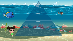 Ocean Ecological Pyramid