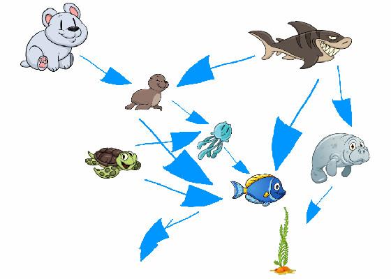 THE FOOD CHAIN!