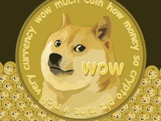 Doge got no money