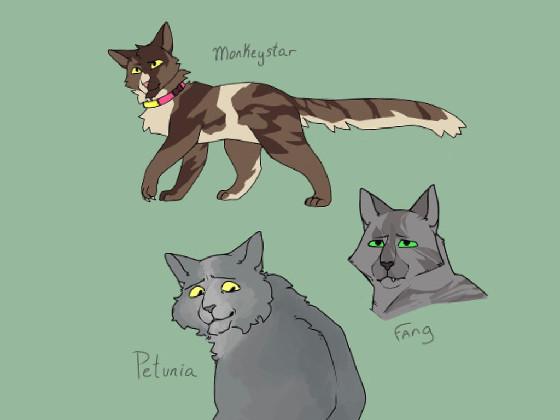 Learn Warrior Cat names 2