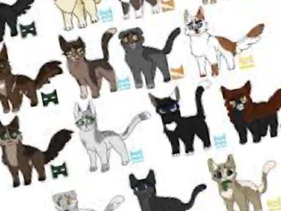 Learn Warrior Cat names 3