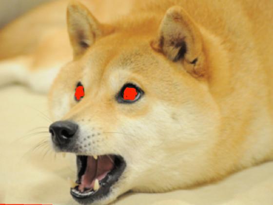 DOGE MUSIC!!!!