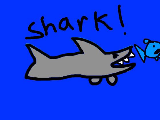 Shark!