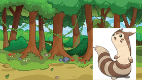 Furret Walk