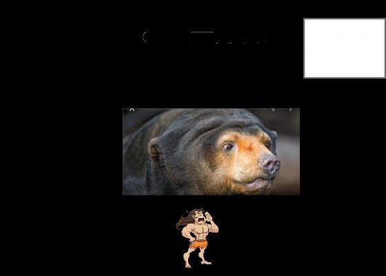 bear clicker 10.1