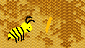 bee photo