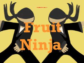 Fruit Ninja 1 1