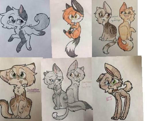 drew warrior cats on paper