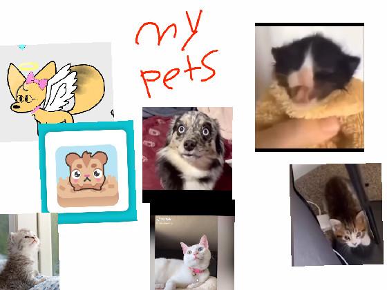  Pets that I have