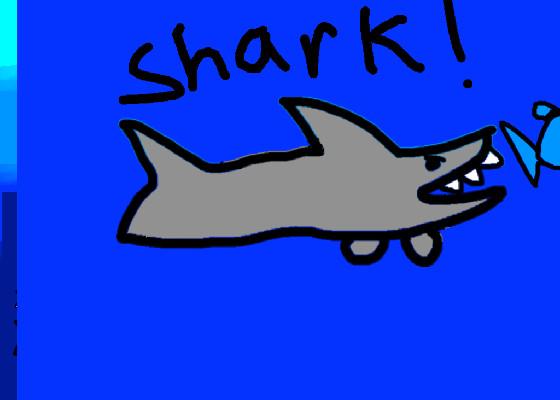 Shark! 1 1