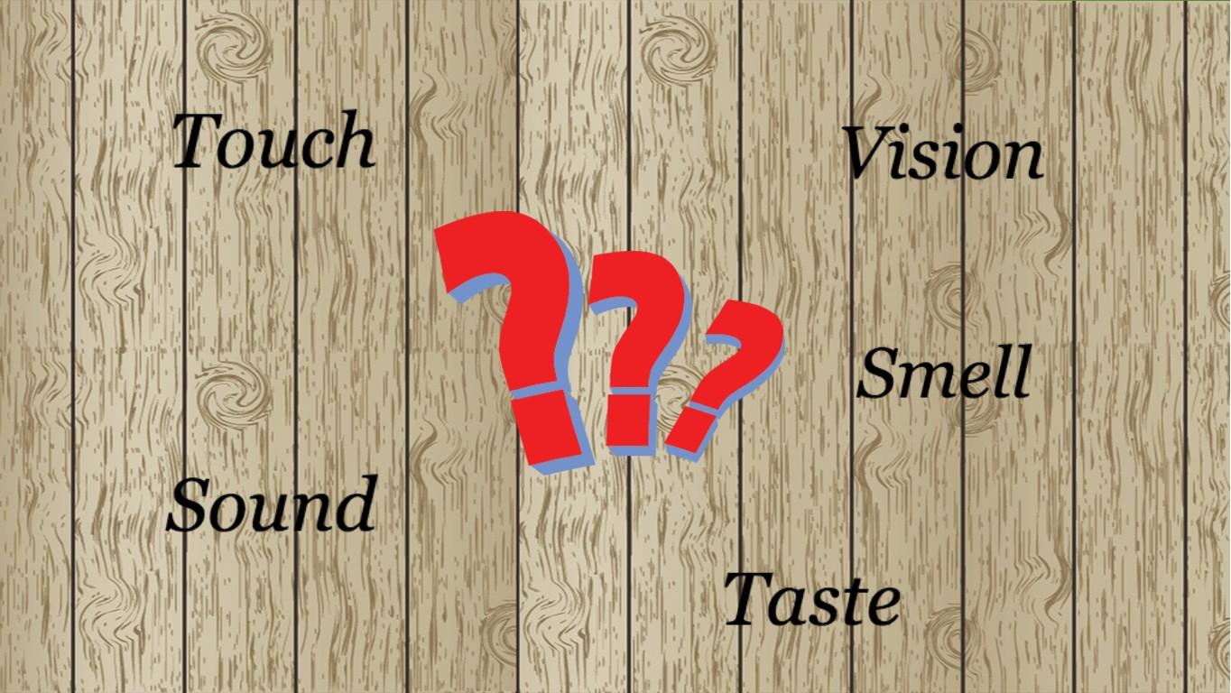 The Five Senses - TEMPLATE