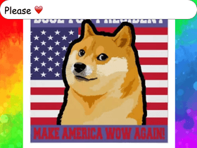 Doge for president