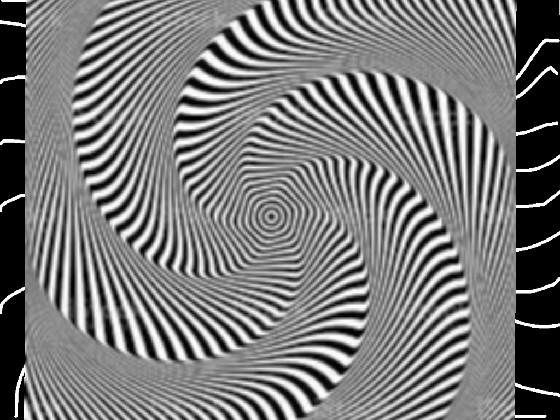 OPTICAL ILLUSION!