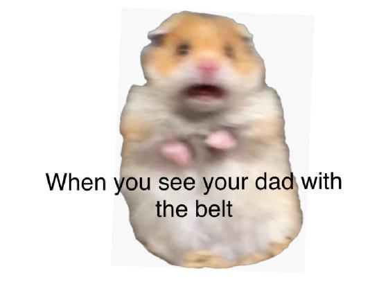 BeltMemes