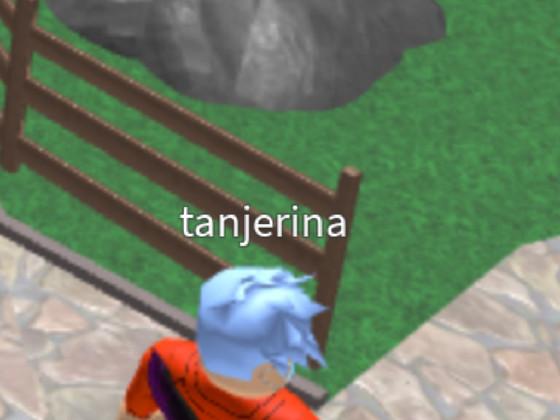 Rating usernames on Roblox